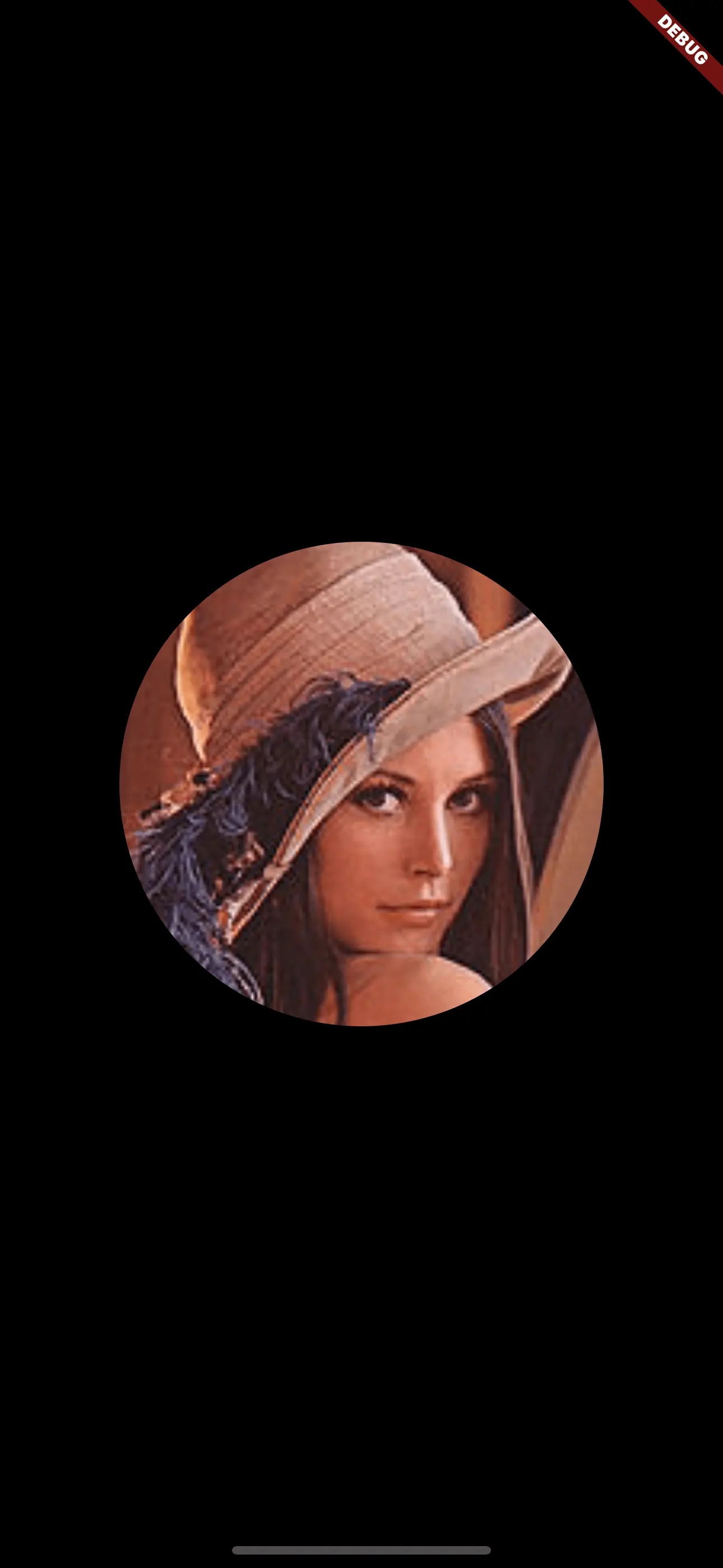A square image cropped to a circle A square image cropped to a circle