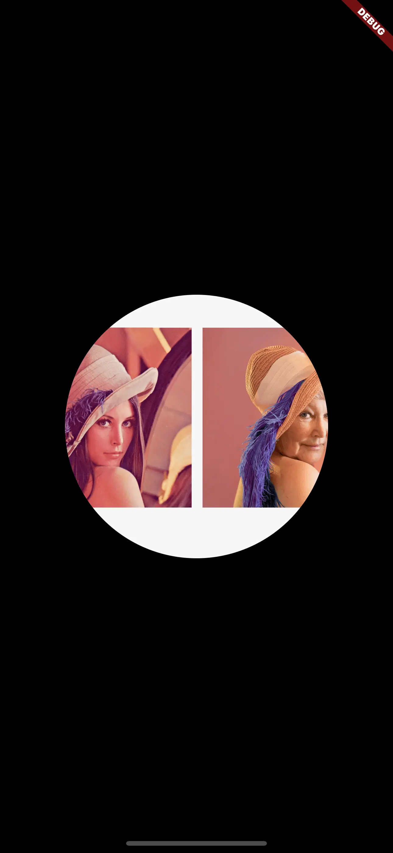 A rectangular image cropped to a circle A rectangular image cropped to a circle