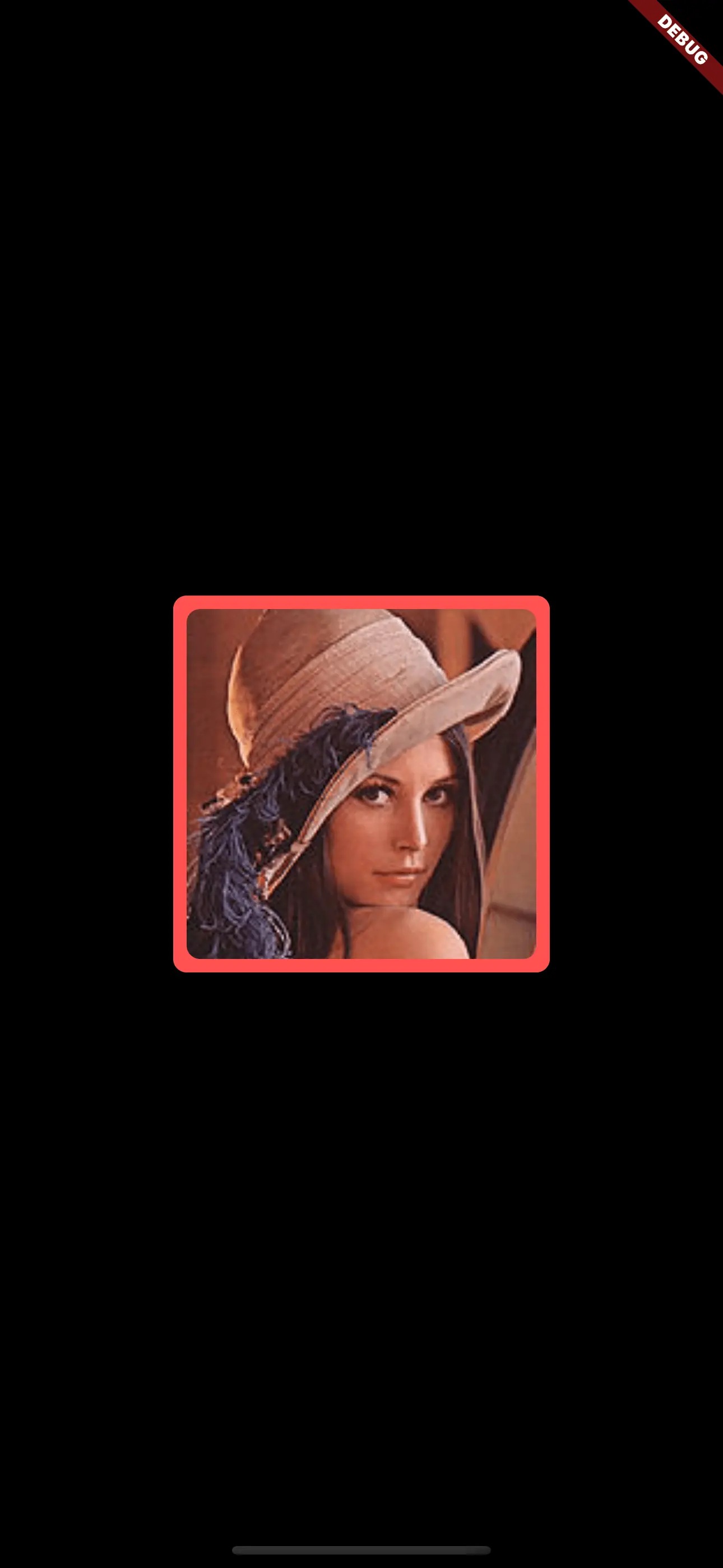 A rectangular image with rounded corners and a red border A rectangular image with rounded corners and a red border
